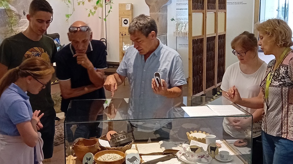 Visita al museo
