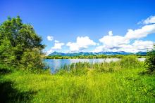 Un prato verde e un lago.